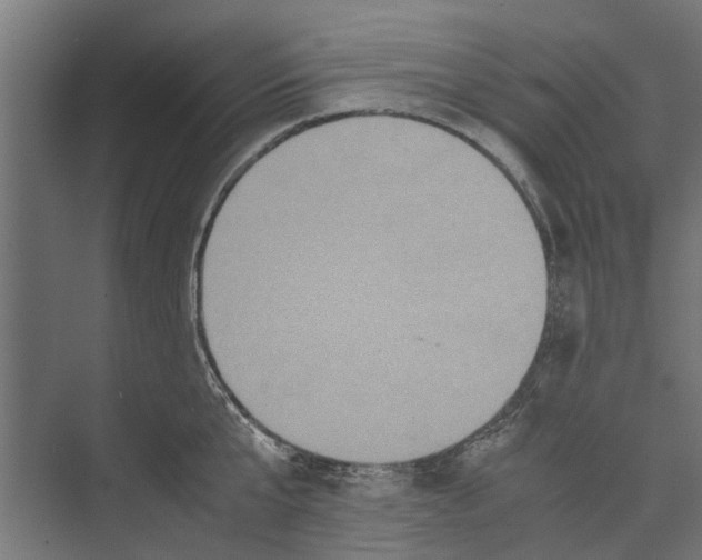 X0000071900807200608041341