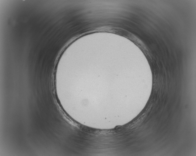 X0000071900808200608041341