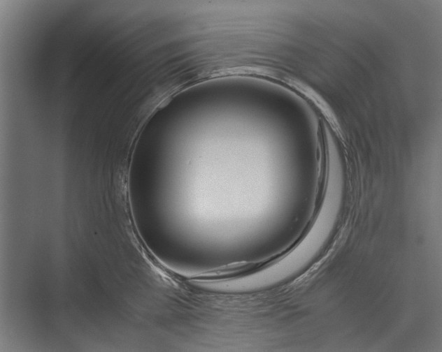 X0000071900809200608041341