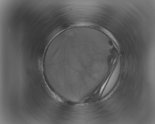 X0000071900810200608041341