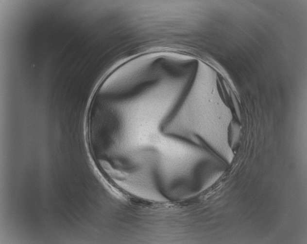 X0000071900811200608041341