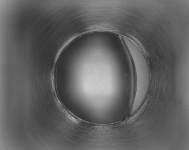 X0000071900812200608041341