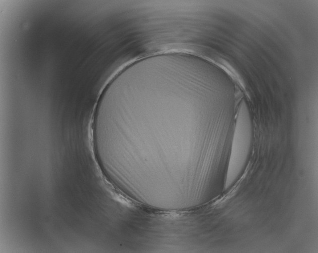 X0000071900814200608041341