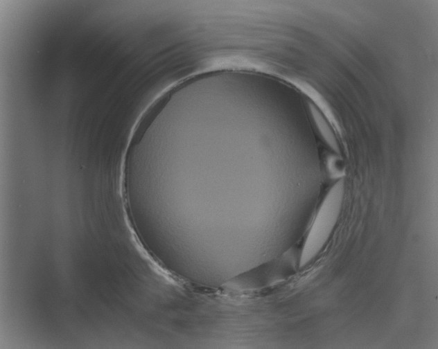 X0000071900815200608041341