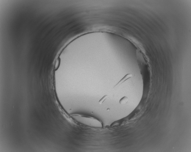 X0000071900816200608041341