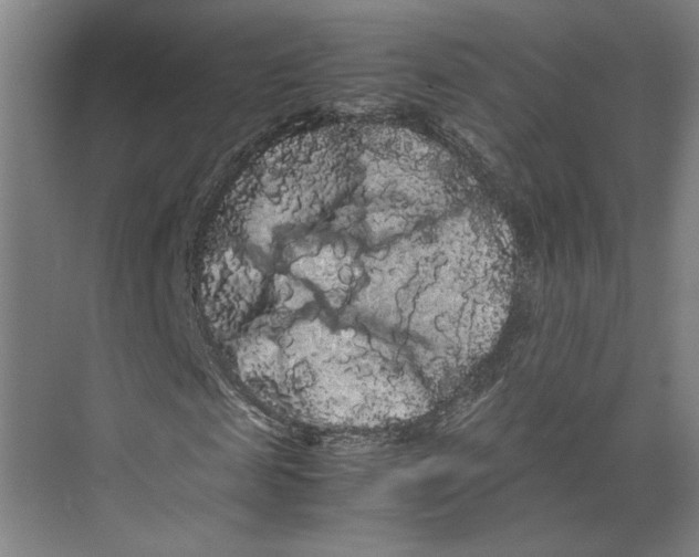 X0000071900817200608041340