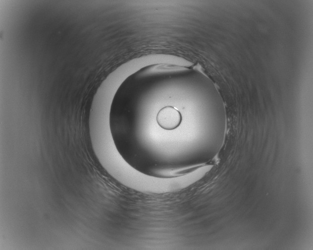 X0000071900818200608041340