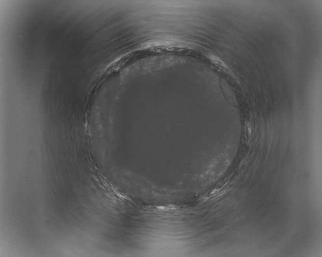 X0000071900822200608041340