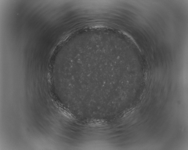 X0000071900823200608041340