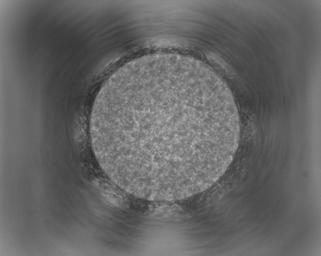 X0000071900824200608041340