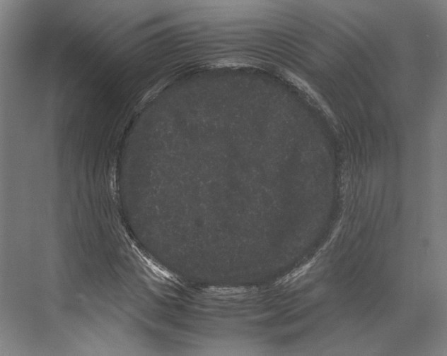 X0000071900825200608041340