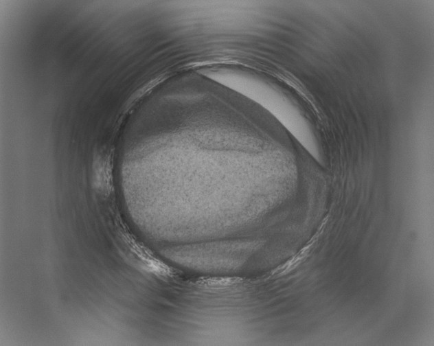 X0000071900826200608041340