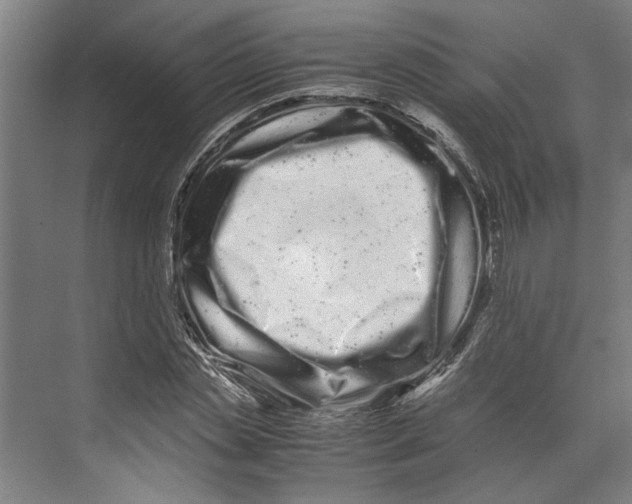 X0000071900829200608041340