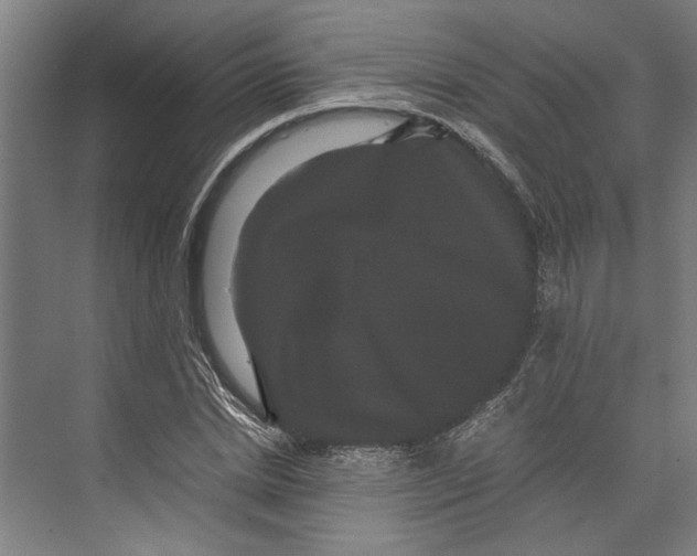 X0000071900830200608041340