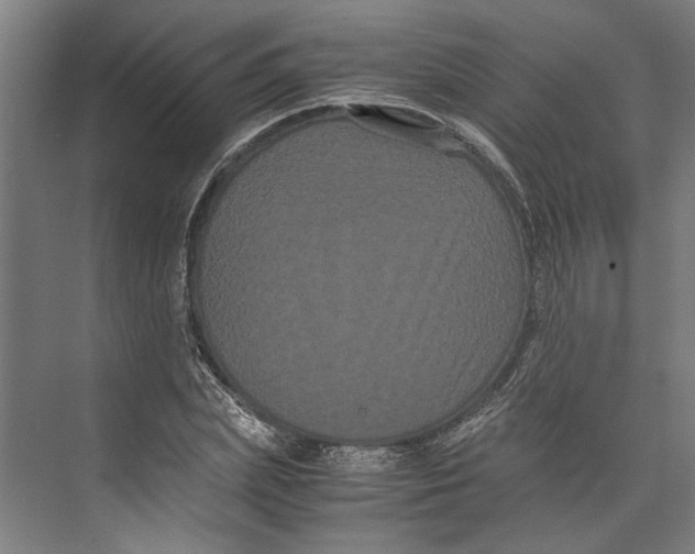 X0000071900831200608041340