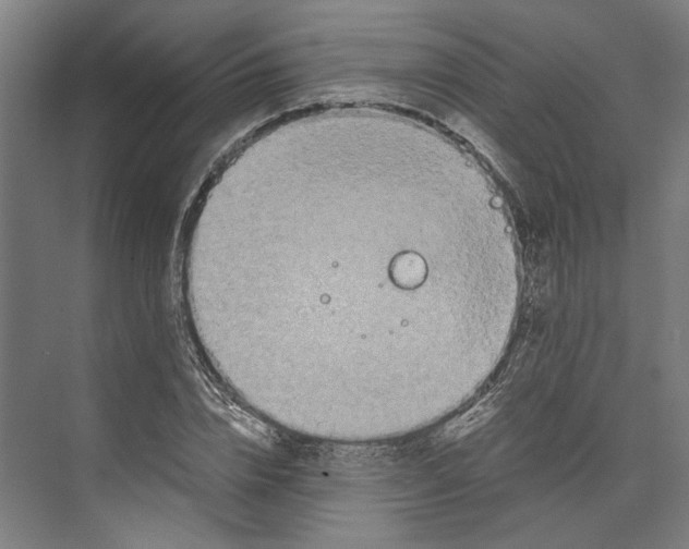 X0000071900832200608041340