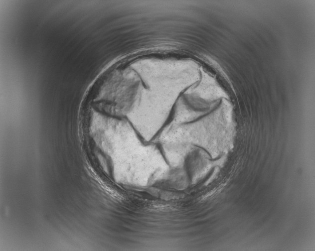 X0000071900835200608041341