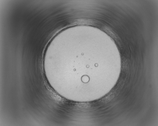 X0000071900836200608041341