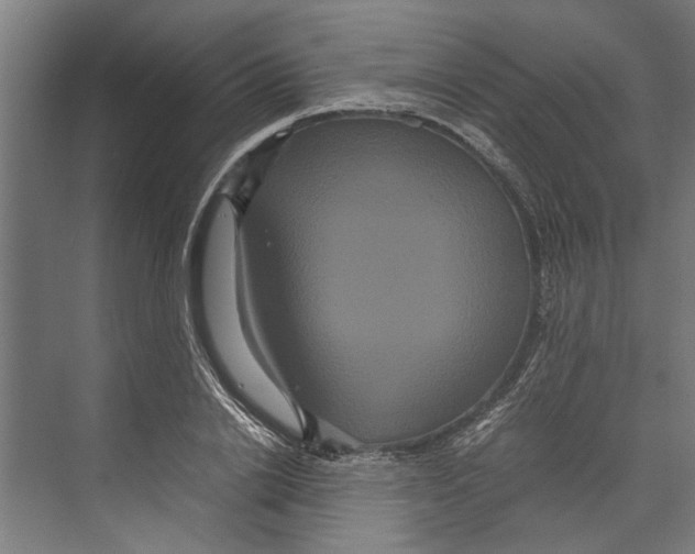 X0000071900838200608041341