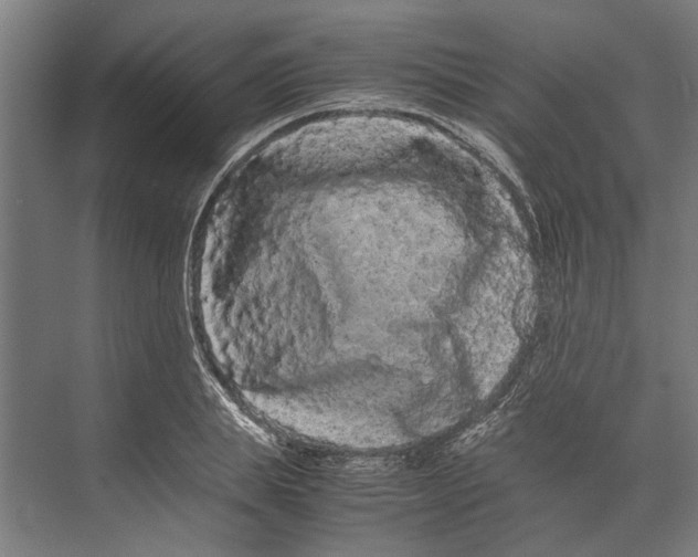 X0000071900839200608041341