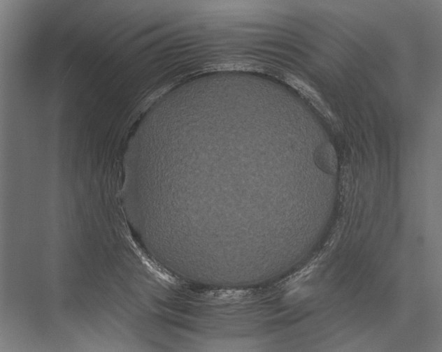 X0000071900841200608041341