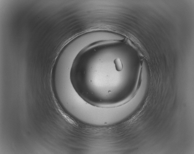 X0000071900842200608041341