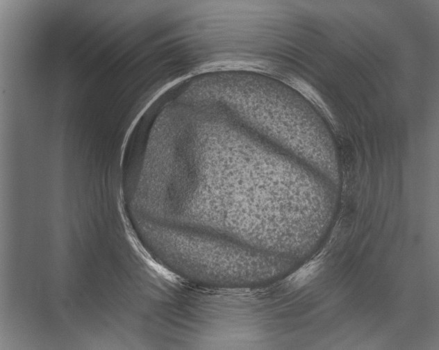 X0000071900844200608041341