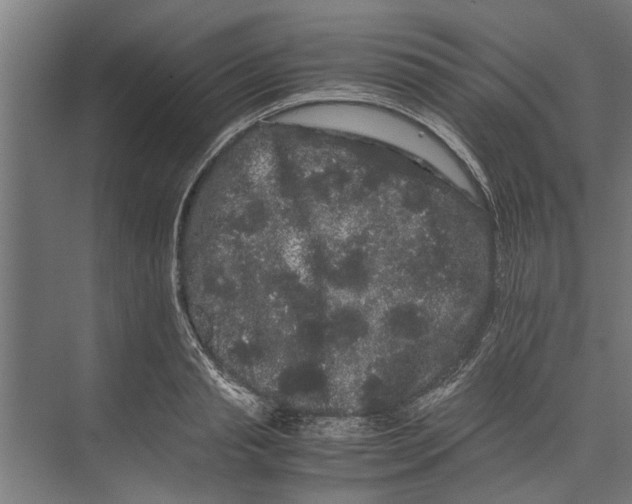 X0000071900845200608041341