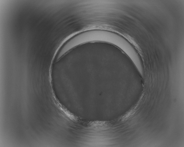 X0000071900846200608041341