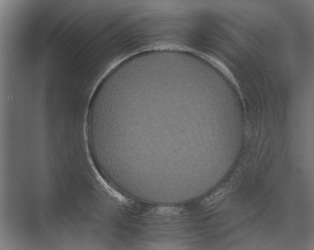 X0000071900847200608041341