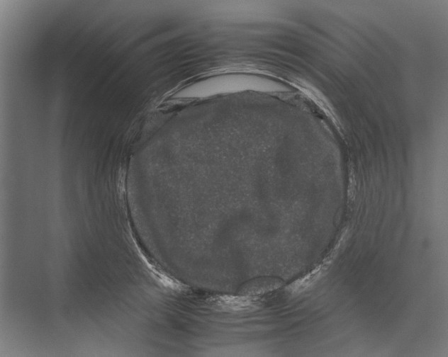 X0000071900849200608041341