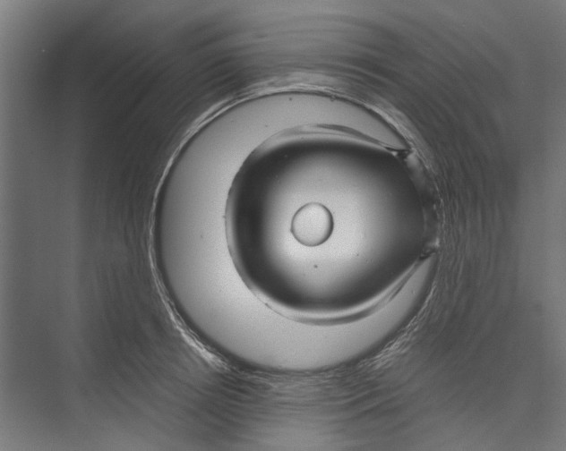 X0000071900850200608041341