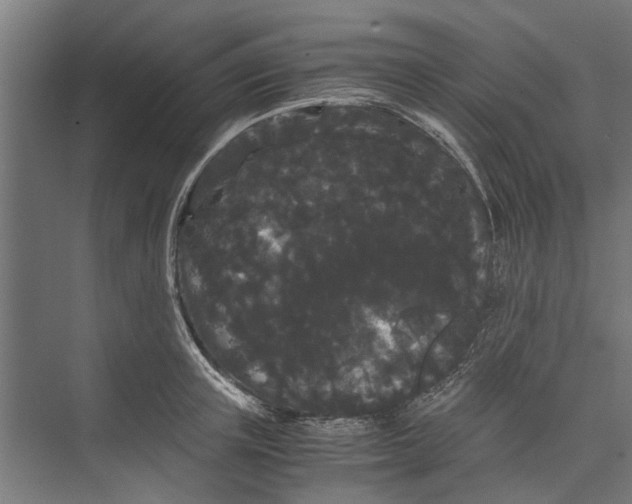 X0000071900851200608041341