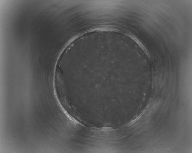 X0000071900853200608041341