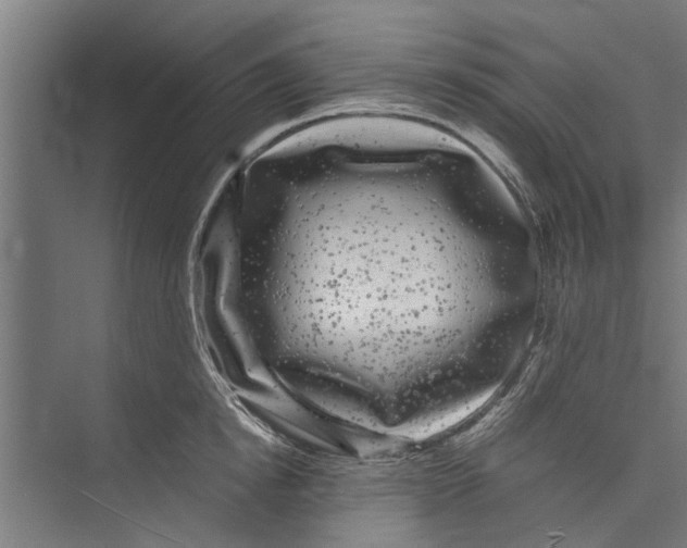 X0000071900854200608041341