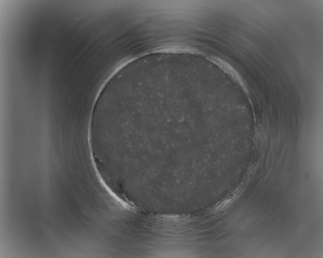 X0000071900855200608041341