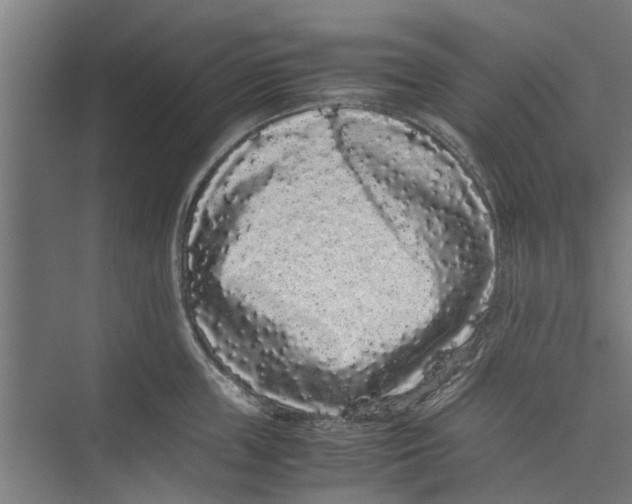 X0000071900859200608041341