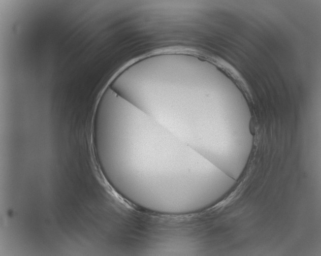 X0000071900860200608041341