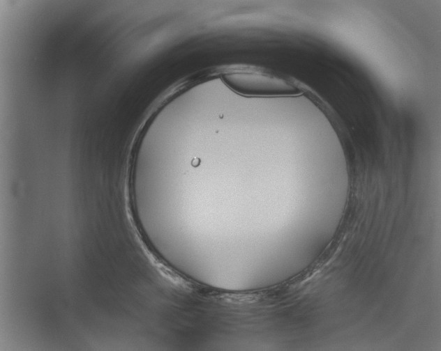 X0000071900861200608041341