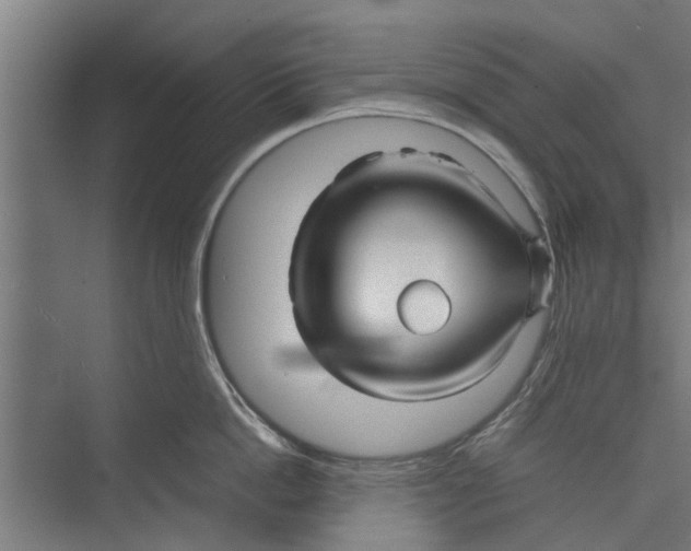 X0000071900862200608041341