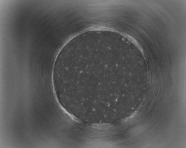 X0000071900863200608041341