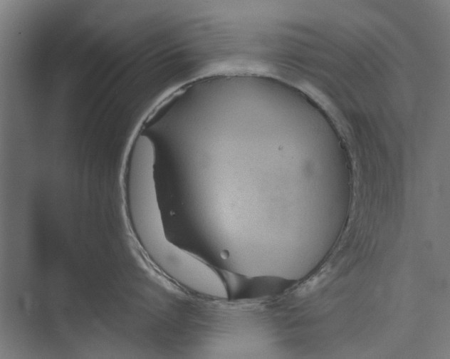 X0000071900864200608041341