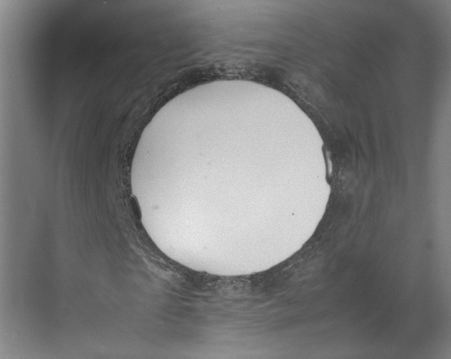 X0000071900865200608041340