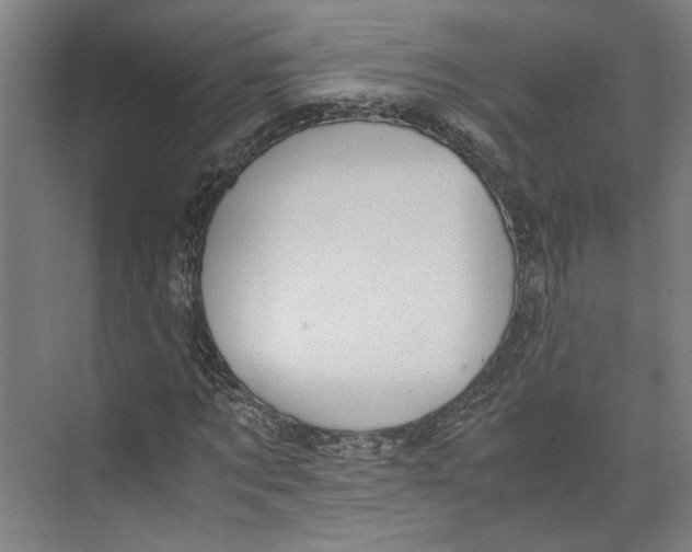 X0000071900869200608041340