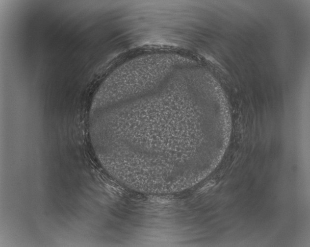 X0000071900870200608041340