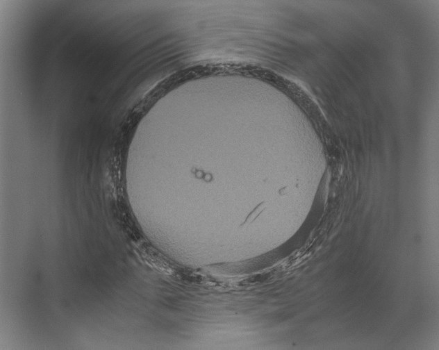 X0000071900871200608041340