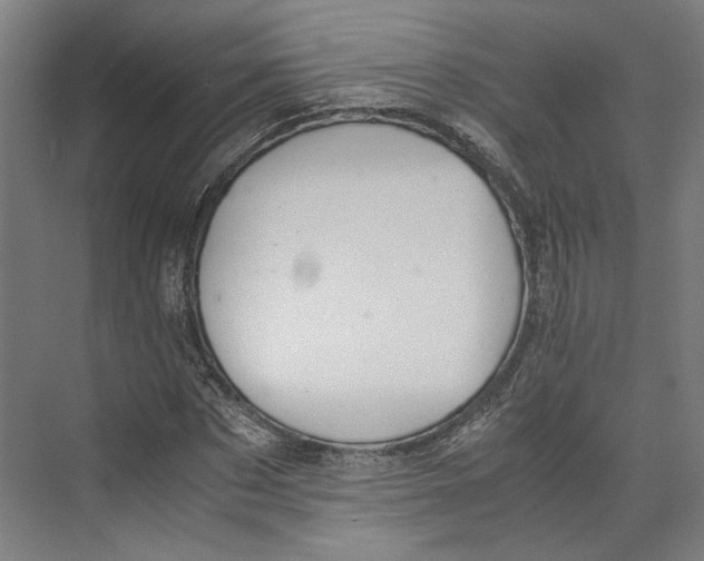 X0000071900873200608041340