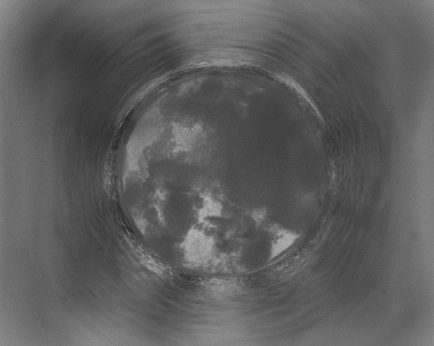 X0000071900874200608041340