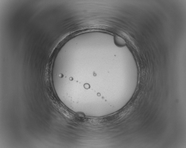 X0000071900875200608041340