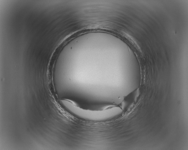 X0000071900876200608041340